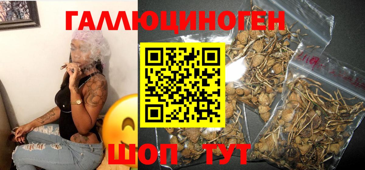Галлюциногенные грибы GOLDEN TEACHER Бузулук