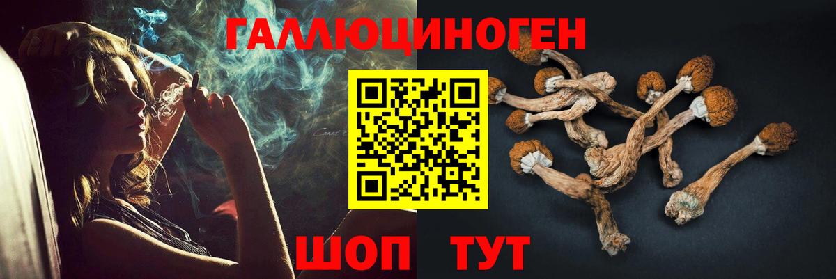 Бузулук  Псилоцибиновые грибы прущие грибы  Вход с VPN 